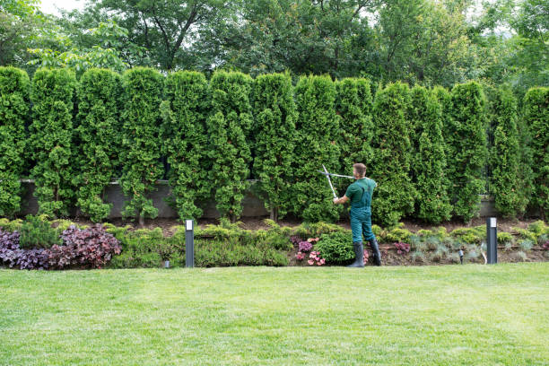  Bethesda, OH Tree Removal and Landscaping Services Pros